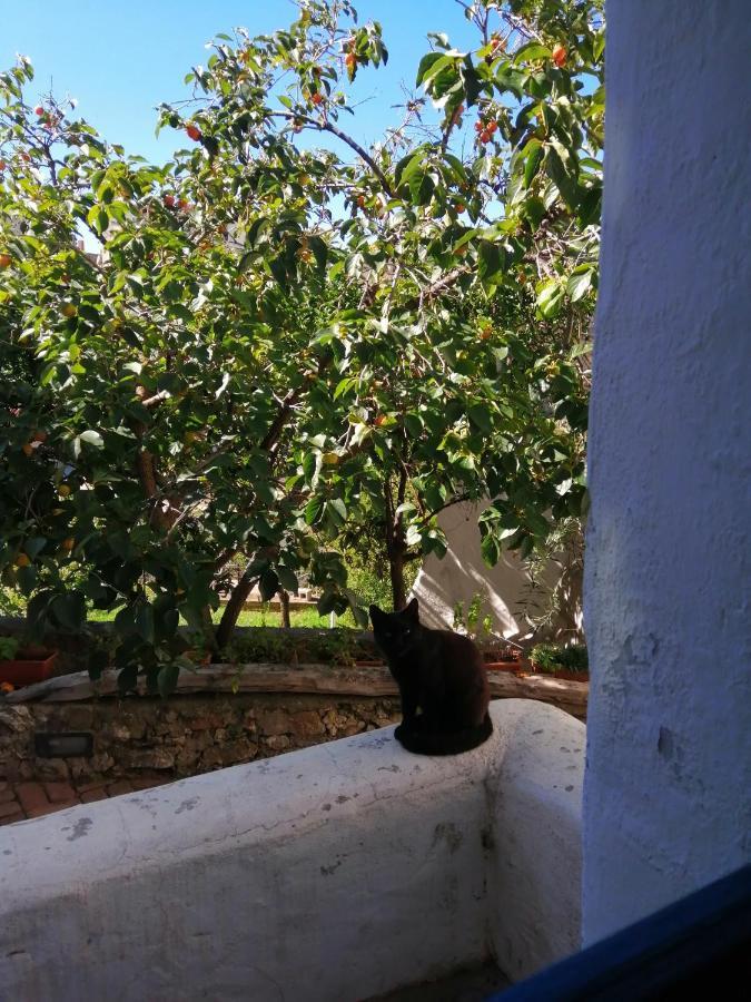 B&B Corte San Lussorio 奥列纳 外观 照片
