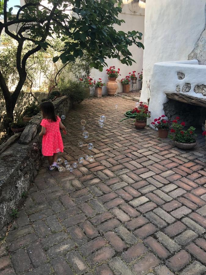 B&B Corte San Lussorio 奥列纳 外观 照片