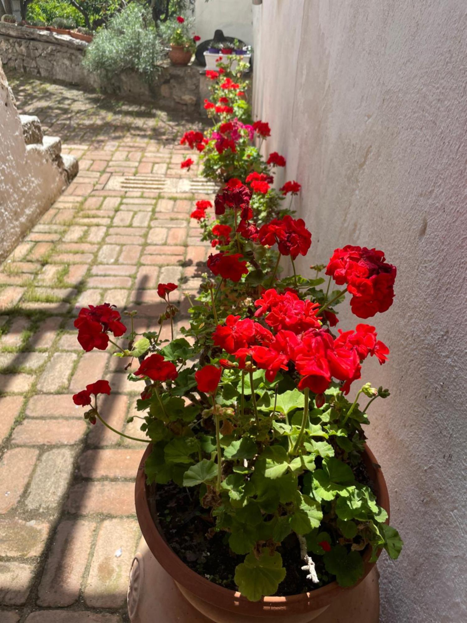 B&B Corte San Lussorio 奥列纳 外观 照片