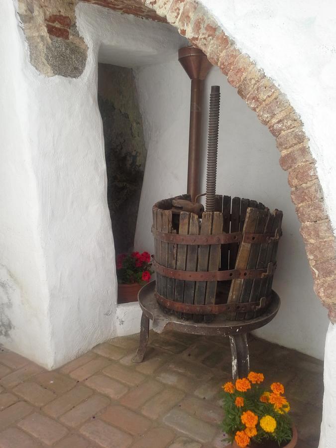 B&B Corte San Lussorio 奥列纳 外观 照片