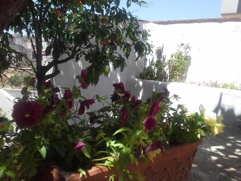 B&B Corte San Lussorio 奥列纳 外观 照片